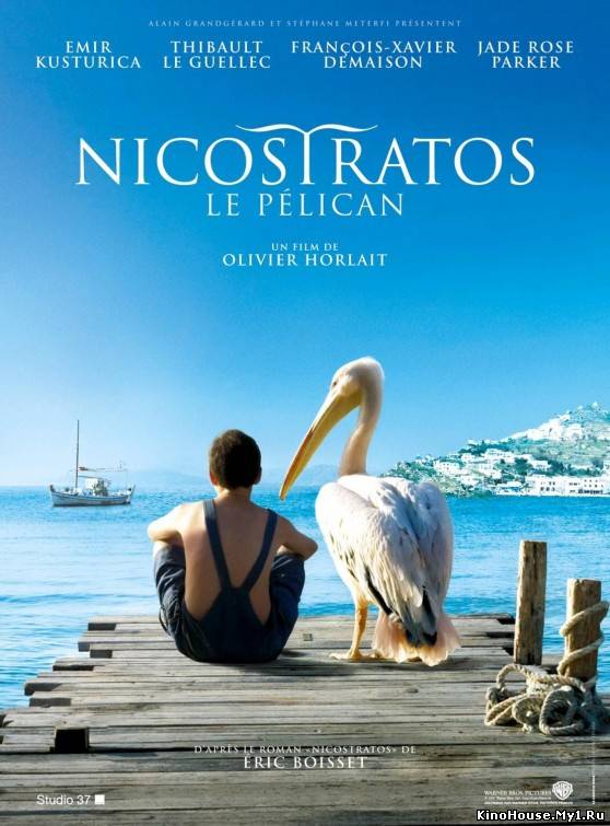 პელიკანი / Nicostratos le pelican