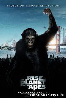 აჯანყება მაიმუნების პლანეტაზე / RISE OF THE PLANET OF THE APES